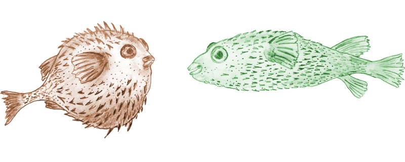 DIR - ein &Uuml;berblick